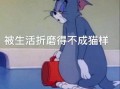 男生过生日沙雕视频文案，男生过生日沙雕视频文案怎么写