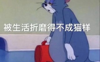 男生过生日沙雕视频文案，男生过生日沙雕视频文案怎么写
