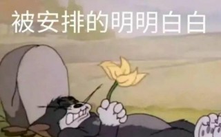 信仰文案沙雕，信仰文案沙雕句子