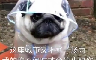 女的沙雕文案，夸美女的沙雕文案