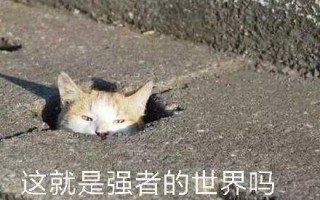 风雪文案沙雕，风雪文案沙雕句子