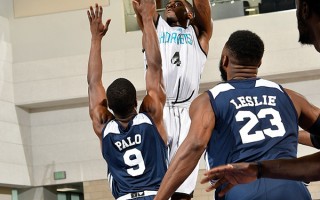 夏季联赛nba数据2017，夏季联赛nba数据统计