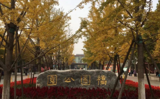 桥园公园游玩攻略，桥园公园游玩攻略图