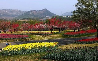 大连蓉花古城游玩攻略，大连蓉花山镇是古城吗？