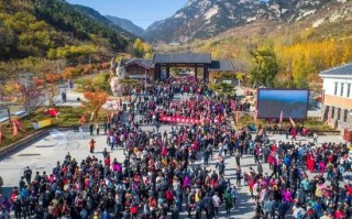 费县黑山游玩攻略，费县黑山羊全羊馆怎么样