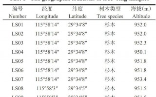 游玩地游玩攻略作文，游玩地方作文
