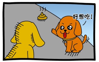 狗撒尿恶搞视频，狗撒尿恶搞视频大全