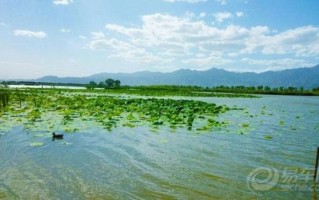 野鸭湖游玩攻略，野鸭湖游玩攻略一日游