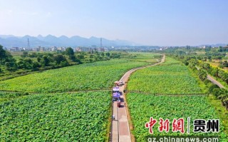 好花红游玩攻略，好花红旅游景点介绍